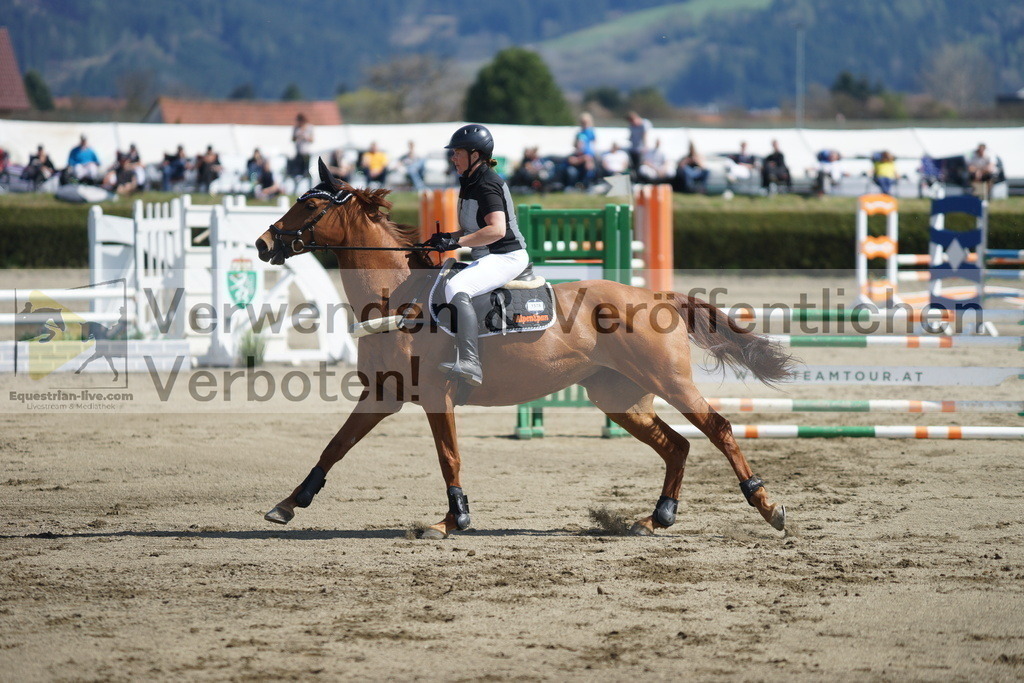 DSC03099 | equestrian-live-com