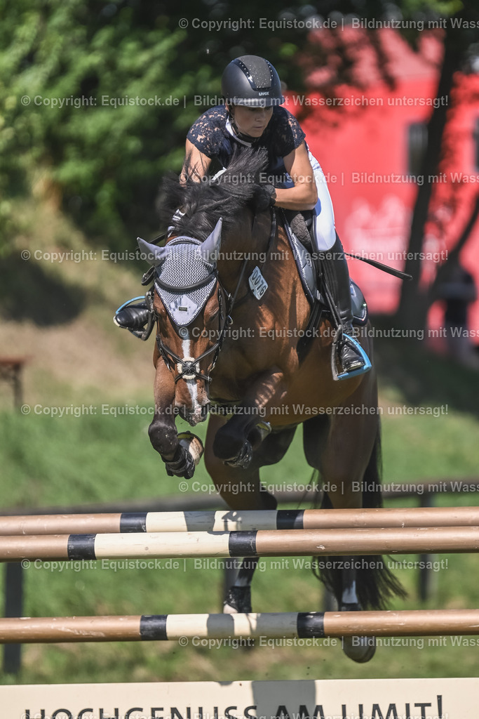 20230908_21_Punktespringen_M_0085 | equistock