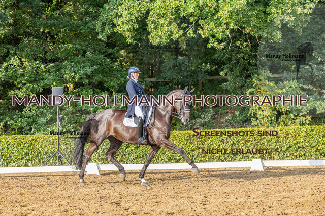 15.8.25 -9- DRE S-200 | mandyhollmannphotographie