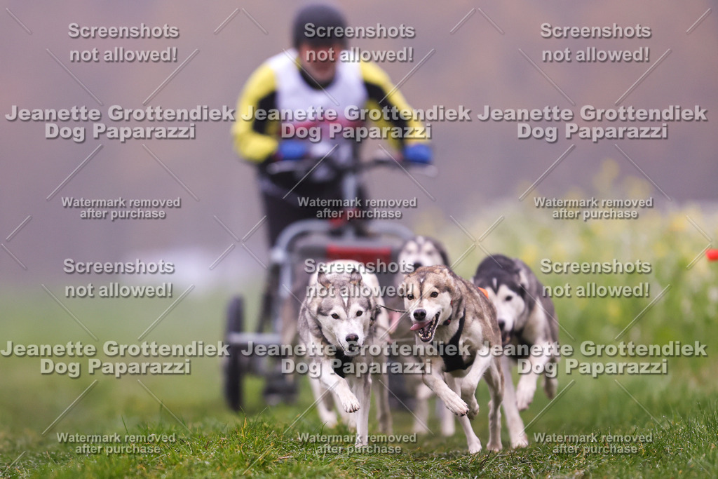 Dog Paparazzi - Visbeck 25 -2 | Dog Paparazzi Jeanette Grottendiek Fotografie & Videografie - Realisiert mit Pictrs.com