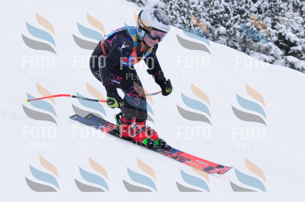 C4146 | holidayphoto