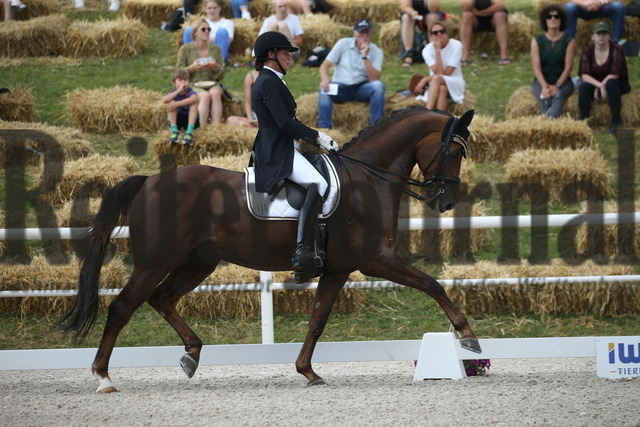 Birkhof_2022_GrandPrixSpecial_Martina Steisslinger_Favory A.S (15) | Alle Fotos der Reiterjournal Fotografin Doris Matthaes im Reiterjournal Online-Fotoshop. - Realisiert mit Pictrs.com