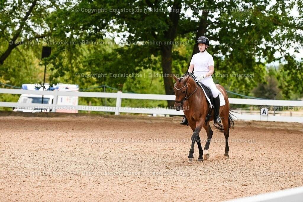 20230715_05_Dressurprüfung Kl.A++_0048 | equistock
