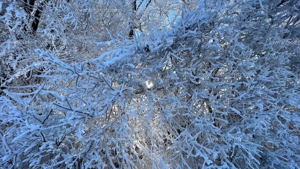 IMG_E6778 | www.foto-fritz.com - Realisiert mit Pictrs.com