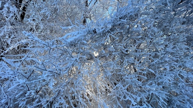 IMG_E6778 | www.foto-fritz.com - Realized with Pictrs.com