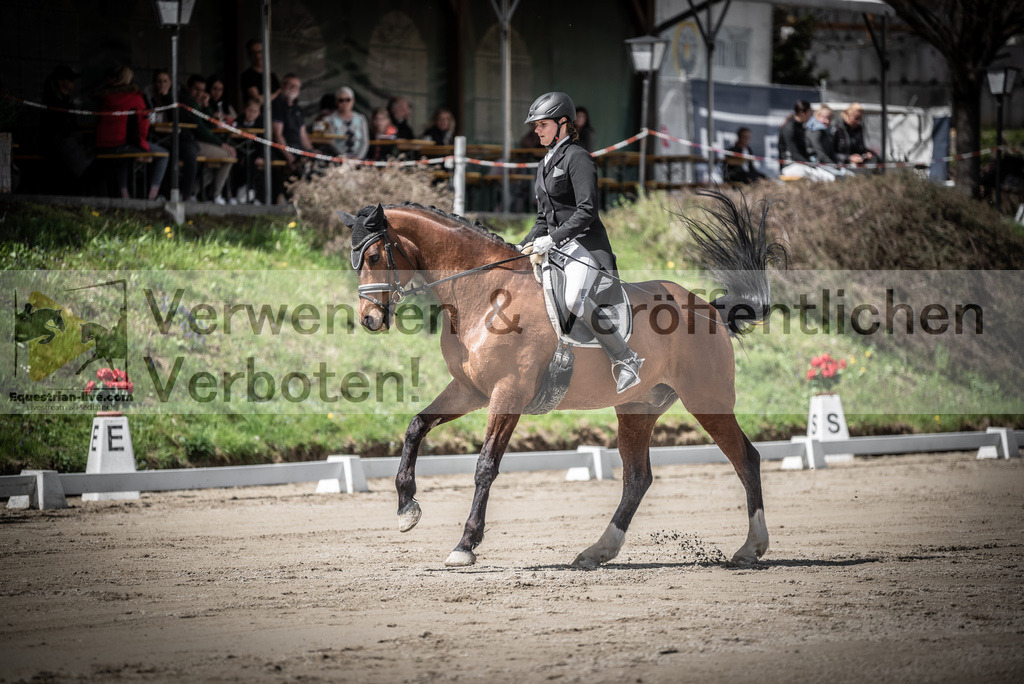 DSC_2159 | equestrian-live-com