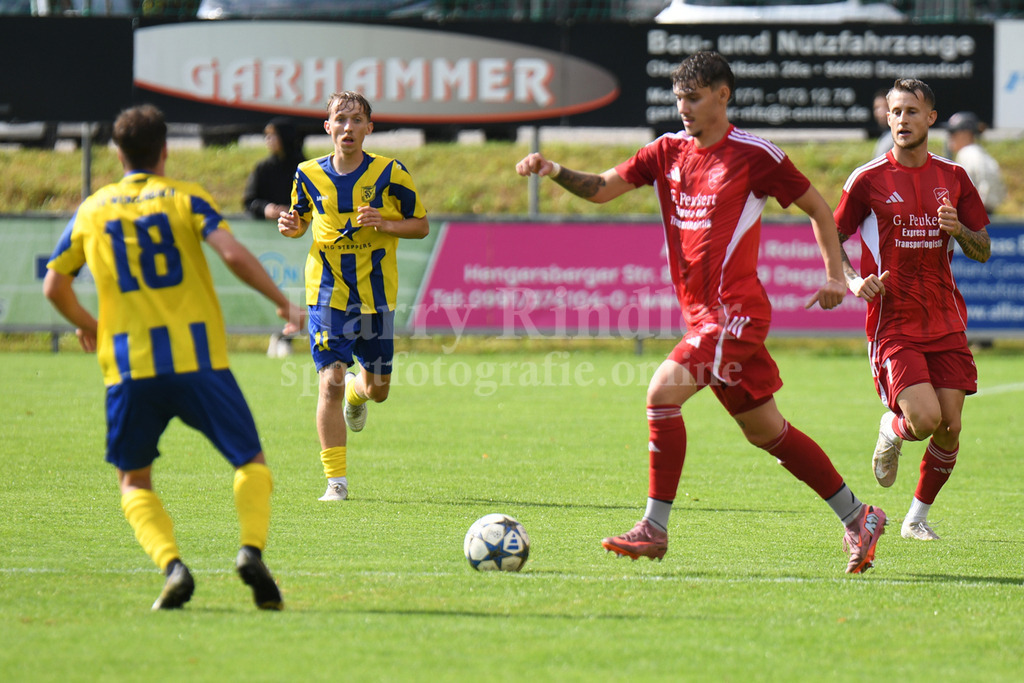 TSV Seebach : SV Wenzenbach | Luis Müller-Eckstein (TSV Seebach #12) mit seinem ersten Pflichtspieltor - Realisiert mit Pictrs.com
