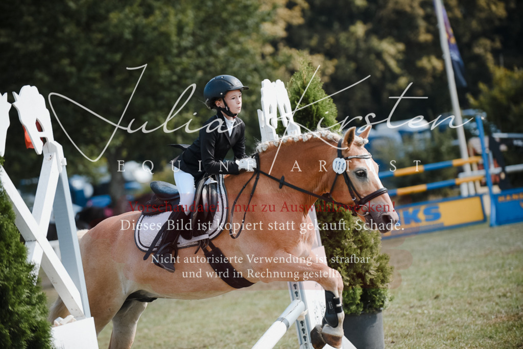 DSC_5206 | Pferde- und Turnierfotografie in Westsachsen. Pferdeportraits, Auftragszeichnungen und intuitive Kunst.