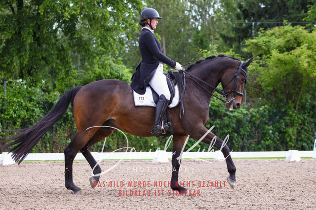 DKP41643 | Deine Turnierfotos vom Reitturnier online kaufen: Dressur, Springen & Siegerehrung. Professionelle Pferdefotografie aus dem Rheinland – als Download & Print.Alternative: Turnierfotograf für den Pferdesport: Finde deine Fotos von Dressur- und Springturnier