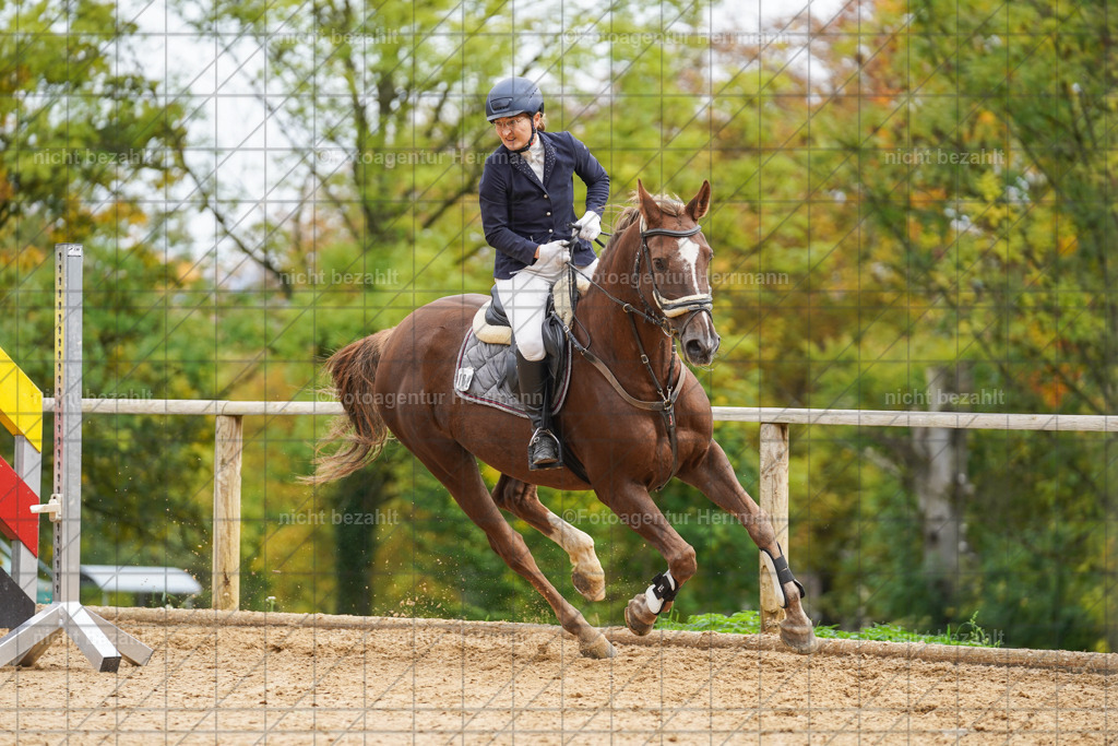 20221009-FAH08762 | Diessen am Ammersee, 2022, Dressur- und Springturnier, Reitsportbilder, Turnierfotografen Bayern, Pferdefotografen, Fotoagentur Herrmann, Turnierbilder