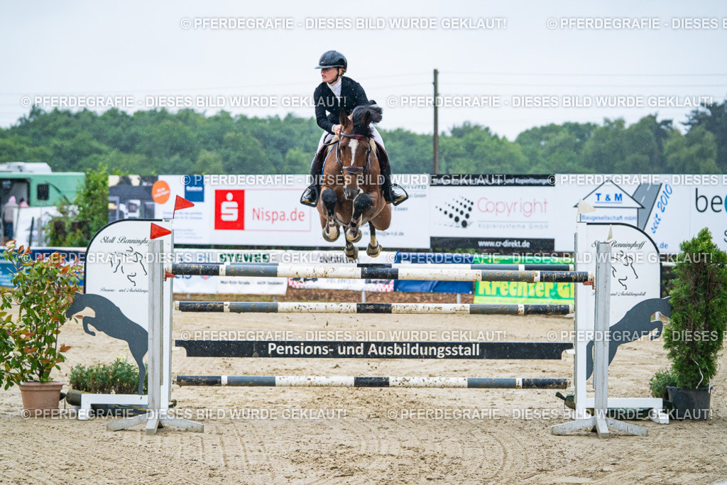 DSC09929 | Pferdegrafie