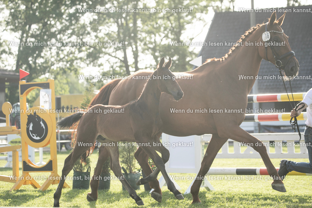 598A7293 | photographylinaismer - Realisiert mit Pictrs.com