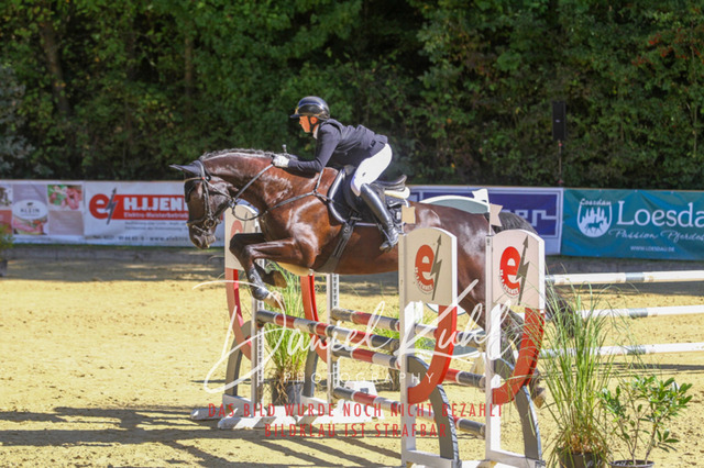 DKP43025 | Turniersportfotografie; Pferdefotografie; Dressurfotografie