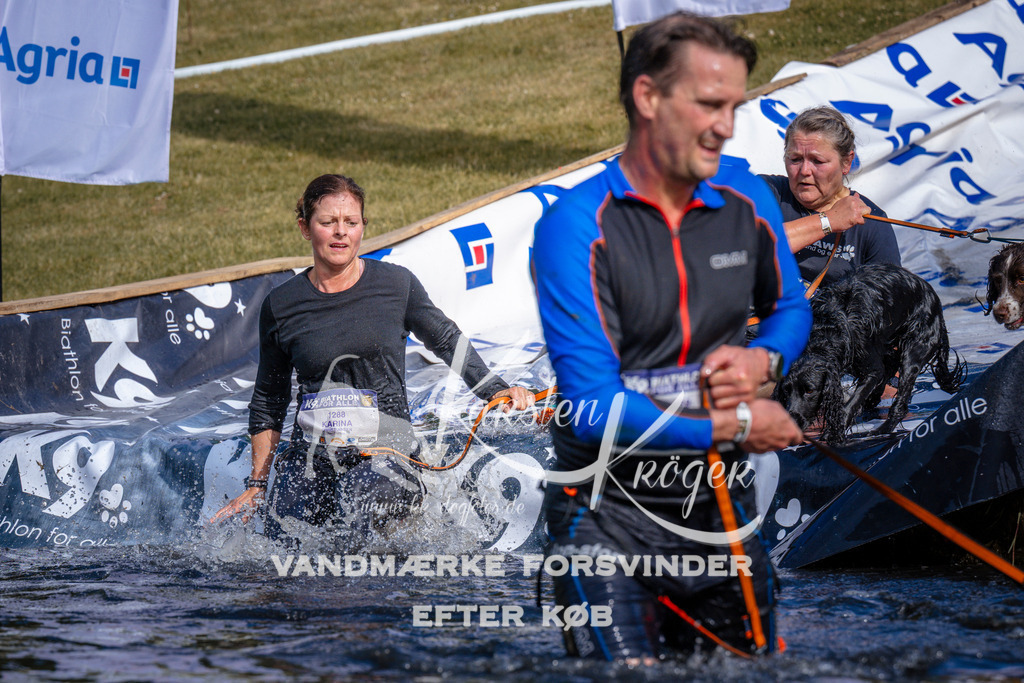 _ZZ980560754 | kk-dogfotos