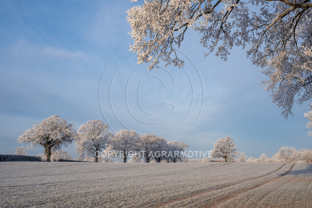 20221218-_DSF2518 | Schneebedeckte Landschaft bei eisiger Kälte - Realisiert mit Pictrs.com