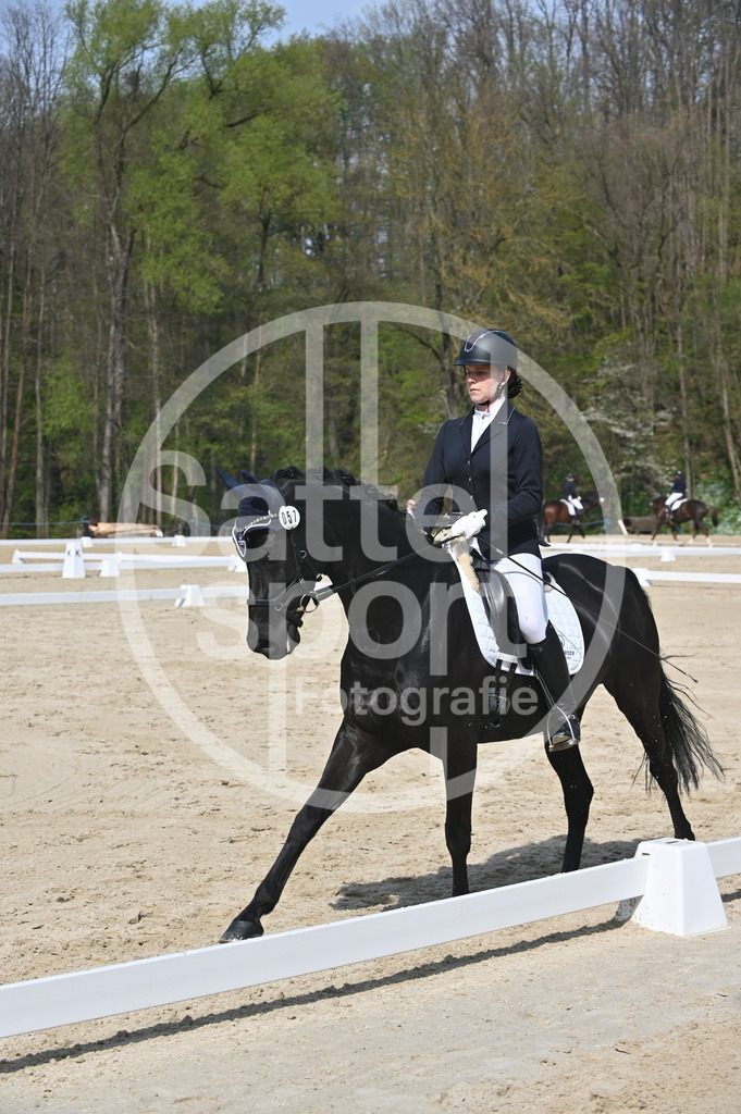 DSC_1080 | sattelsport - Realisiert mit Pictrs.com