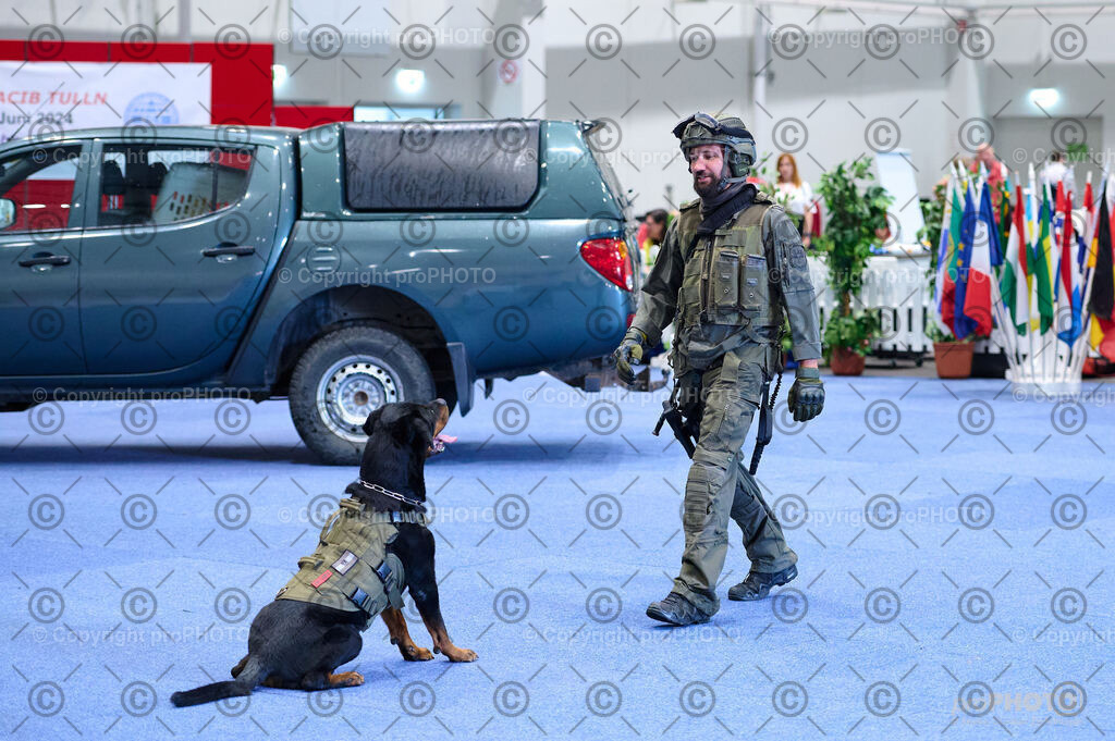 202406_ÖKV-IHA-Tulln24_DSC_2737 | proPHOTO - Realisiert mit Pictrs.com