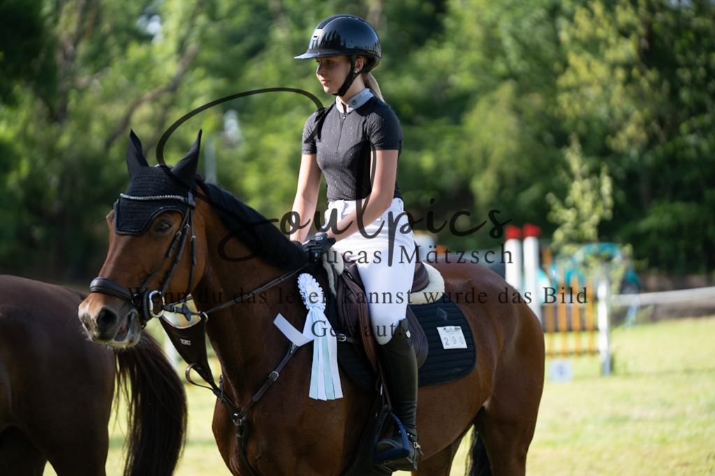 A7V06690 | Pferdefotograf