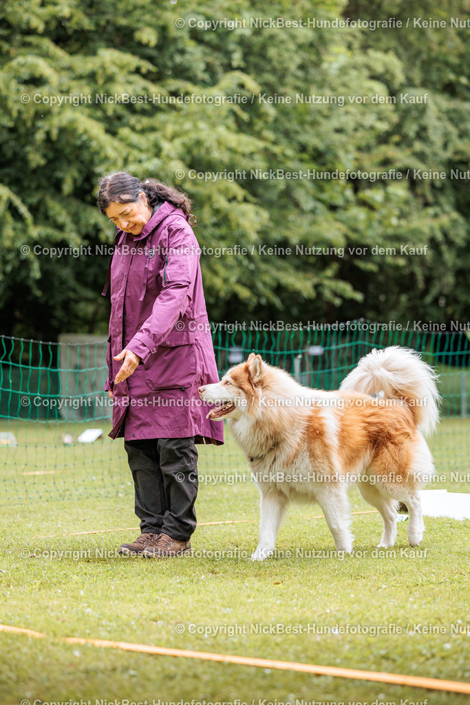 RO-Blumenthal-2026-Nickbest-Hundefotografie-2121 | Dein Hund! Dein Moment! Deine Erinnerungen! Hundefotografie in Bremen Blumenthal. Ich fange die besonderen Momente deines Vierbeiners ein – ob Indoor mit Blitzanlage oder in der freien Natur. Sicher dir dein Moment und dein Termin für eure Erinnerungen.