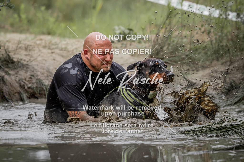 nelerasche_so0800-0930_378 | nelerasche