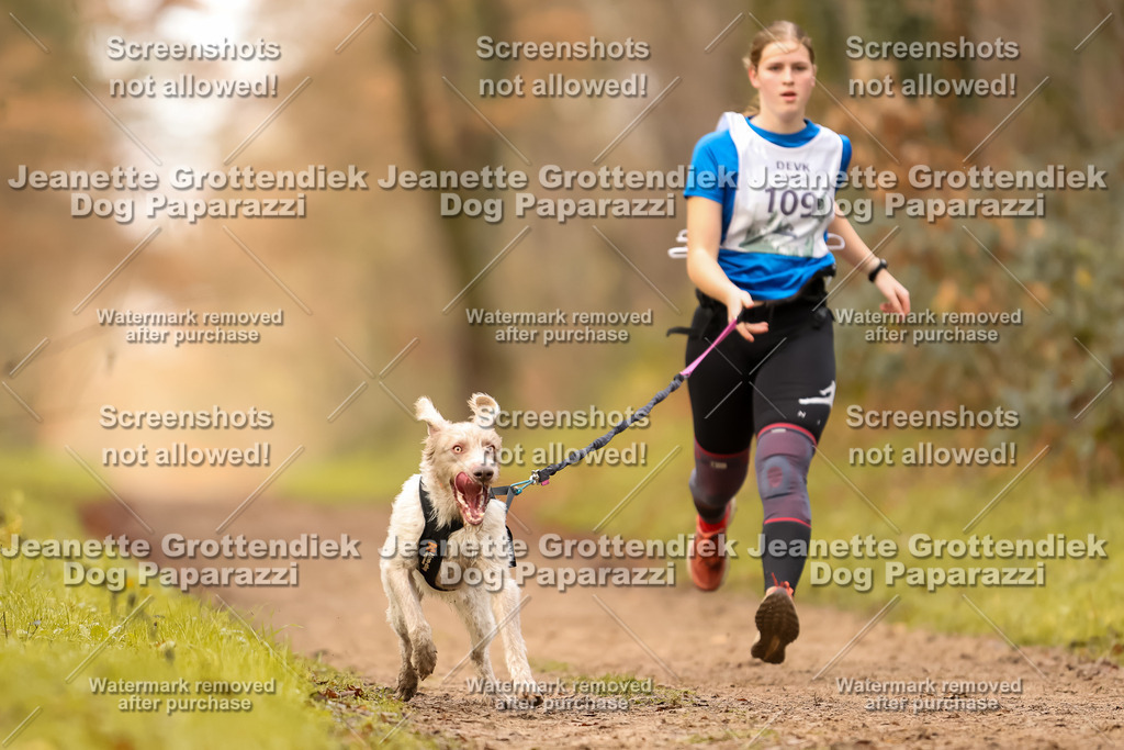 Dog Paparazzi - Speedhunter Mannheim  2025-299 | Dog Paparazzi Jeanette Grottendiek Fotografie & Videografie