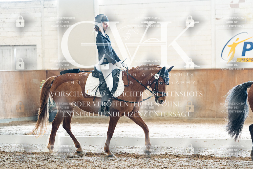 CK900389 | Turnierfotografie Pferdefotografie Trier Rheinland-Pfalz Pferdesport Reitsport Tierfotografie Sportfotografie Pferdevideo Pferdevideografie Equestrianvideography equestrianphotography  - Realisiert mit Pictrs.com