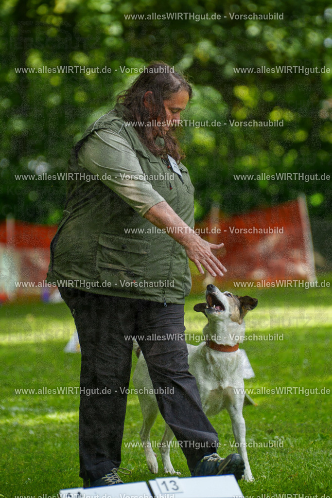 @allesWIRTHgut_Tierfotografie - www.allesWIRTHgut.de - 7R504363 | Professionelle Tierfotografie in Mönchengladbach von Daniel Wirth (allesWIRTHgut). Liebevolle & natürliche Bilder von Hunden & Katzen für unvergessliche Erinnerungen.
