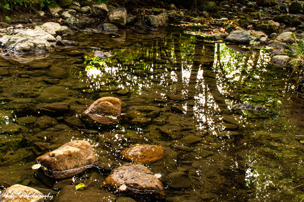 Reflections in the water | Holzisphotography, Landschaftsfotografie, Wildlifefotogorafie - Realisiert mit Pictrs.com