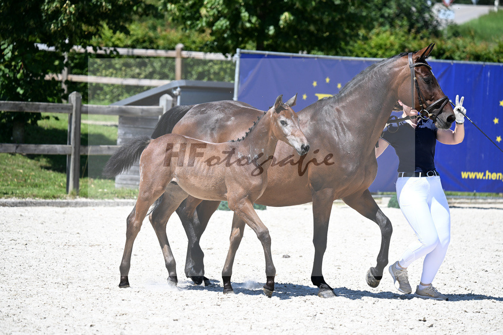 Kat-Nr. 20 Cashmoaker x Ciacomo_HF_Reissler_24250493 | hf-fotografie - Realisiert mit Pictrs.com