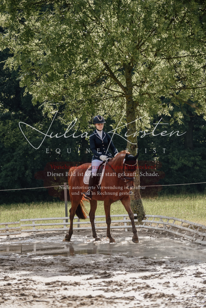 DSC_8866 | Pferde- und Turnierfotografie in Westsachsen. Pferdeportraits, Auftragszeichnungen und intuitive Kunst.