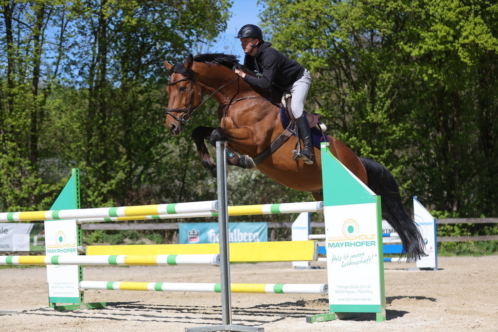 0P6A8155 | Willkommen bei Brunnmayr - Design & Fotografie – Ihrem Spezialisten für Reitturniere und Pferdeveranstaltungen in Oberösterreich, Salzburg und Bayern! Seit über 17 Jahren sind wir leidenschaftlich dabei.