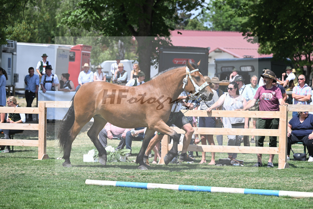 Kat-Nr. 48 Galina_Schmid_20230768 | hf-fotografie - Realisiert mit Pictrs.com