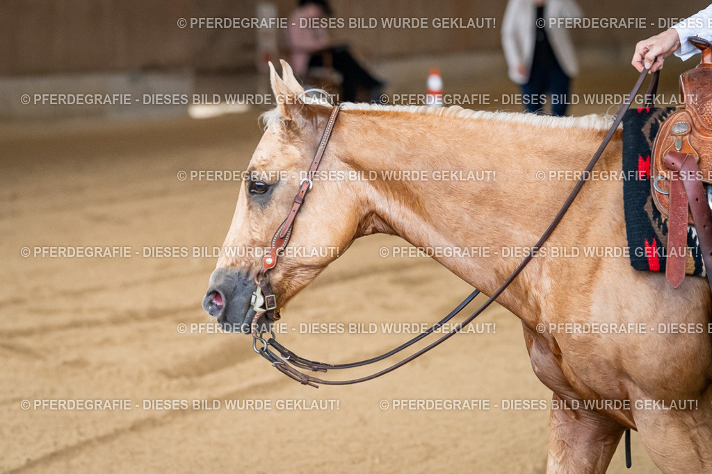 DSC08863 | Pferdegrafie