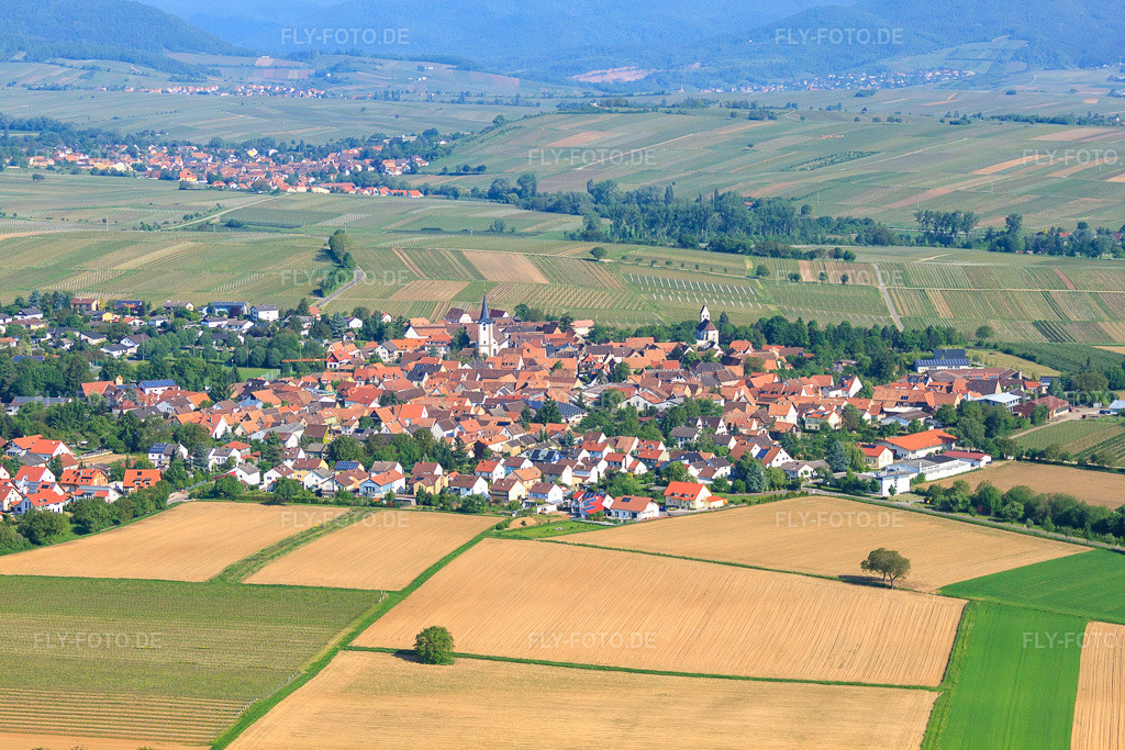 Luftbild: Dorfansicht von Südosten im Ortsteil Mörzheim in Landau im Bundesland Rheinland-Pfalz in Deutschland. Foto: IMG_27114.jpg vom 23.05.2010 durch Werner Riehm/FLY-FOTO.de