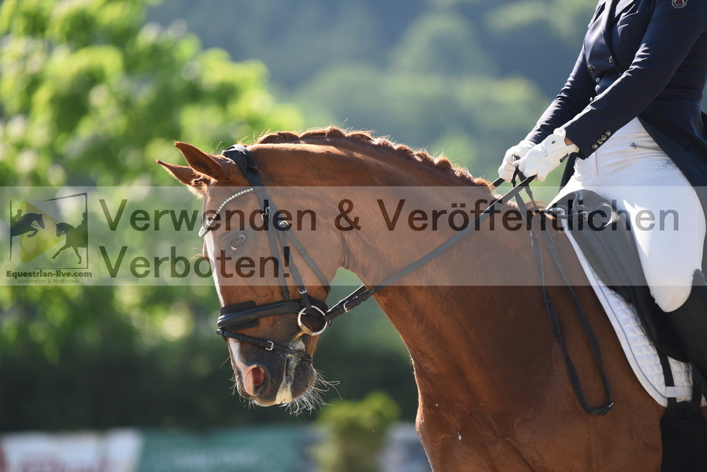 DSC_2422 | equestrian-live-com