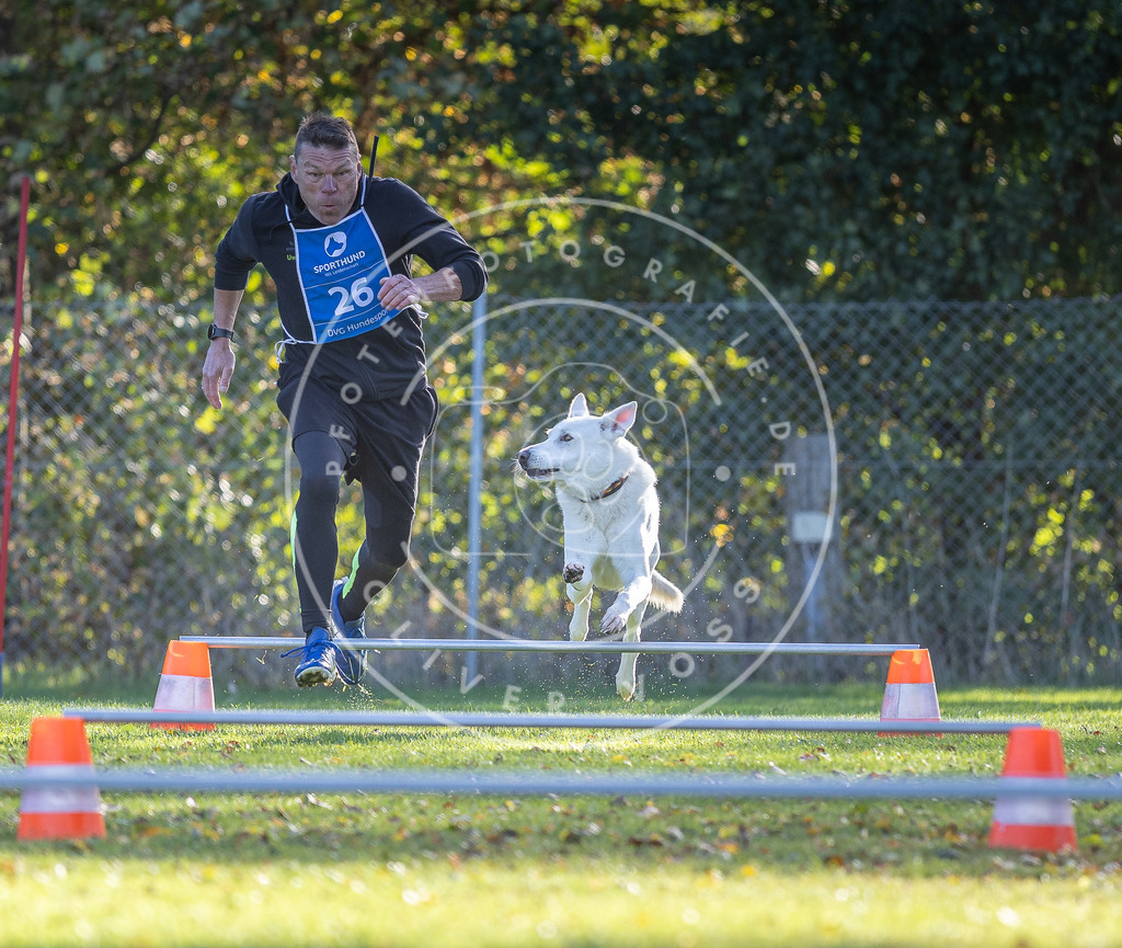 Pfotenfotografie.de_DV3A2991 | Hundefotografie, Tierfotograf, Pfotenfotografie, Fotoshooting Hund, Hunde Portrait, Hundesport, Hundeportraits, Heideshooting, Hunde, Sportfotograf, Hundefotograf, Turnierhundsport, THS, canicross - Realisiert mit Pictrs.com