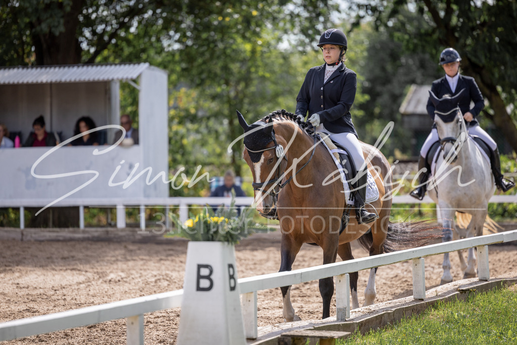20260905-_3LI7690 | Tierfotografie Pferde, Hunde, Katzen, Haustiere.
Turnierfotografie Reitturniere, Reiten, Springreiten, Dressur in Hanau, dem Main-Kinzig-Kreis und dem Rhein-Main- Gebiet um Frankfurt