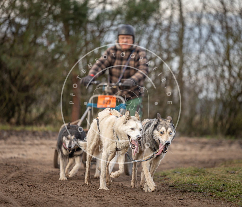 Pfotenfotografie_DV3A6188 | Hundefotografie, Tierfotograf, Pfotenfotografie, Fotoshooting Hund, Hunde Portrait, Hundesport, Hundeportraits, Heideshooting, Hunde, Sportfotograf, Hundefotograf, Turnierhundsport, THS,  - Realisiert mit Pictrs.com