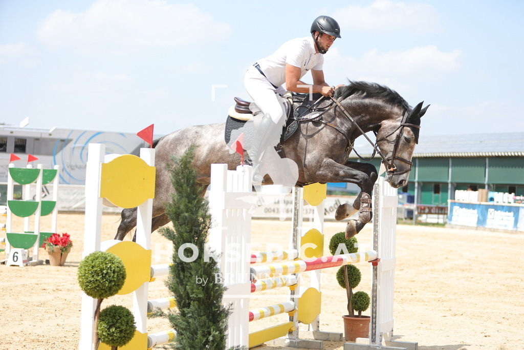 0P6A0206 | Willkommen bei Brunnmayr - Design & Fotografie – Ihrem Spezialisten für Reitturniere und Pferdeveranstaltungen in Oberösterreich, Salzburg und Bayern! Seit über 17 Jahren sind wir leidenschaftlich dabei.
