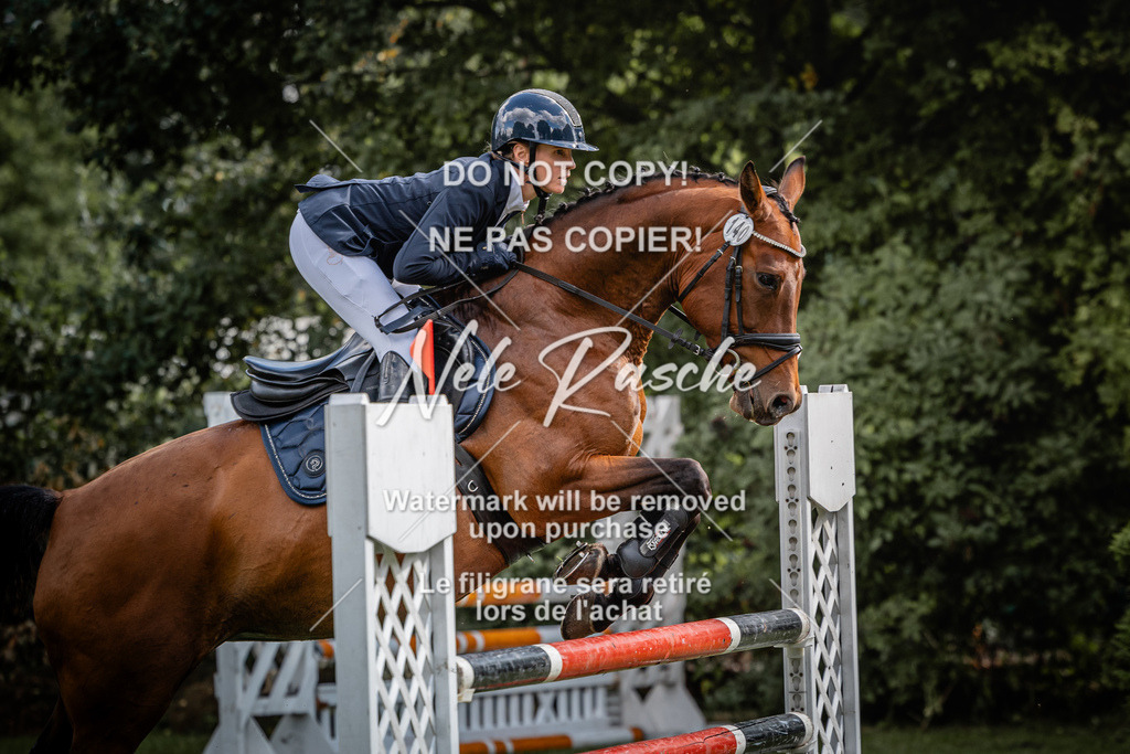 nelerasche_SprL115Ede_43 | nelerasche