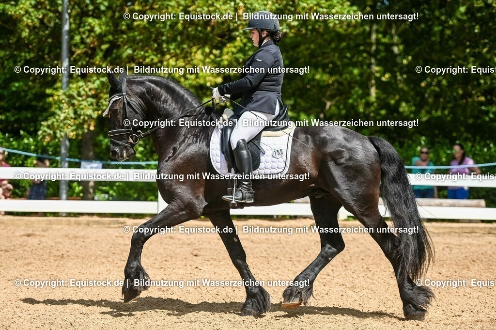 20230715_02_Dressurreiterprüfung Kl.L_0165 | equistock