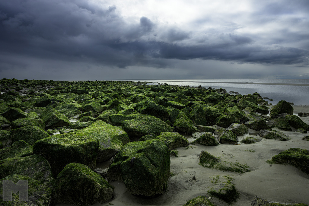 Brandungsbrecher im Watt | Landschafts- und Tierfotografie zu allen Jahreszeiten. Und immer die Schönheit des Lichtes im Auge... - Realisiert mit Pictrs.com