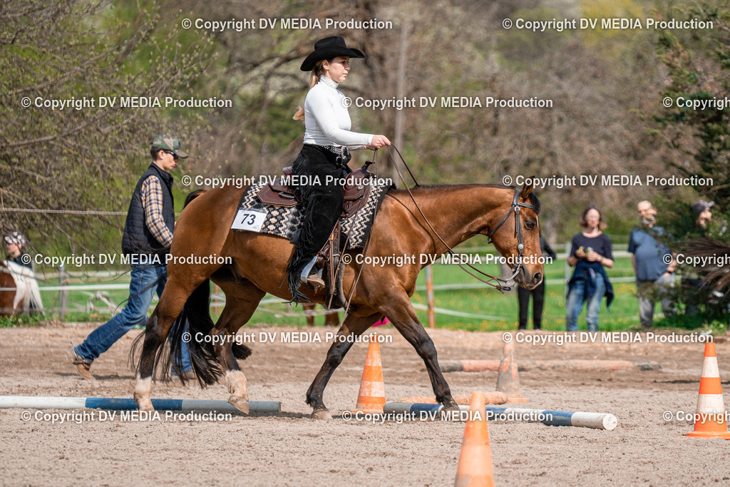 BAL02547 | dv-media-shop - Realisiert mit Pictrs.com