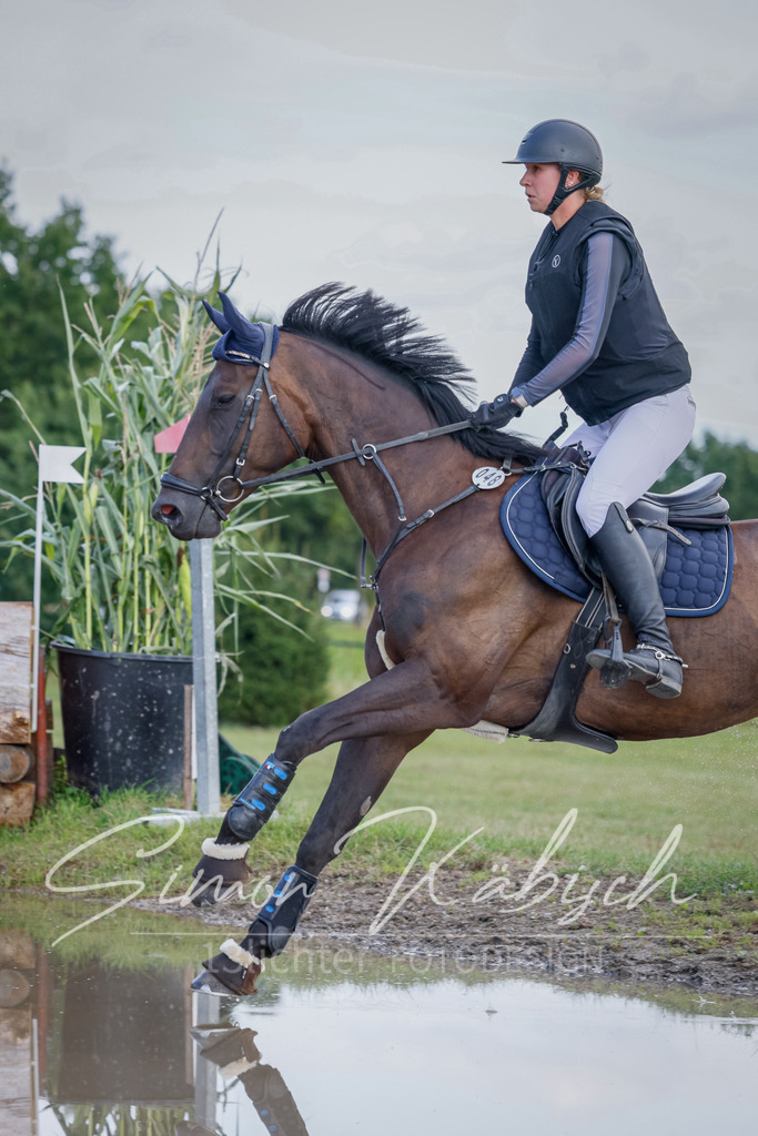 20250905-_3LI0449 | Tierfotografie Pferde, Hunde, Katzen, Haustiere.
Turnierfotografie Reitturniere, Reiten, Springreiten, Dressur in Hanau, dem Main-Kinzig-Kreis und dem Rhein-Main- Gebiet um Frankfurt