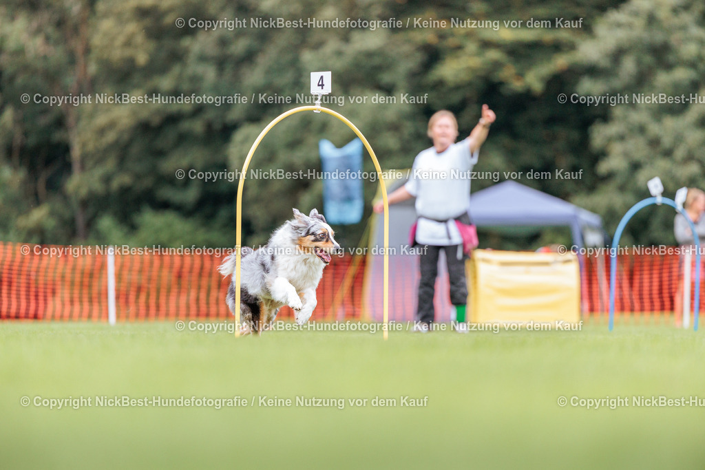 BSP Hoopers-H2-2026-Nickbest-Hundefotografie-TuS Komet Arsten e.V.-3439 | Dein Hund! Dein Moment! Deine Erinnerungen! Hundefotografie in Bremen Blumenthal. Ich fange die besonderen Momente deines Vierbeiners ein – ob Indoor mit Blitzanlage oder in der freien Natur. Sicher dir dein Moment und dein Termin für eure Erinnerungen.