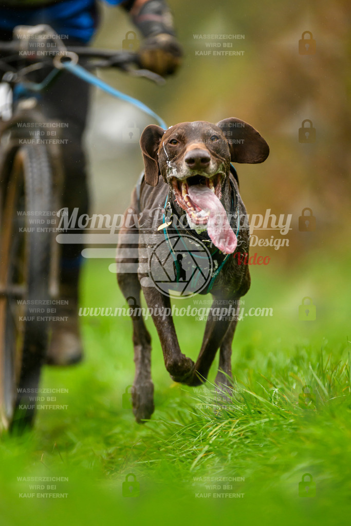 MompixPhotography_20TSB_E8_Bike-68 | PayLife