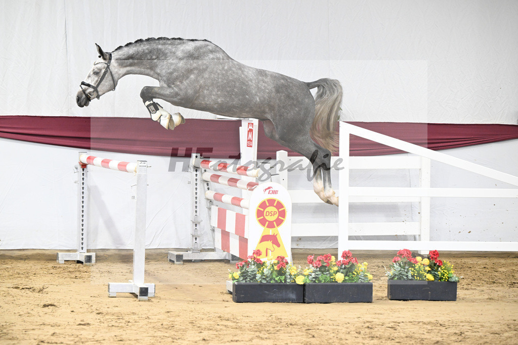 Kat-Nr. 12 I_m Special de Muze x Colman_Michaela Aeschbacher _47250191 | hf-fotografie - Realisiert mit Pictrs.com