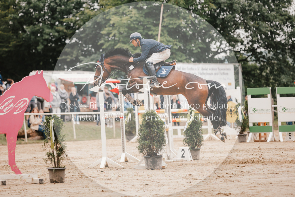 3I6A2247 | Stimmungsvolle Portraits und Reitsportfotografie im Ruhrgebiet und im Münsterland.

Pferdefotografie, Hundefotografie, Tierfotografie, Reportagen, Portraits von Tier und Mensch, Turnierfotografie in Bochum, Recklinghausen, Marl, Haltern am See, Dülmen.. - Realisiert mit Pictrs.com