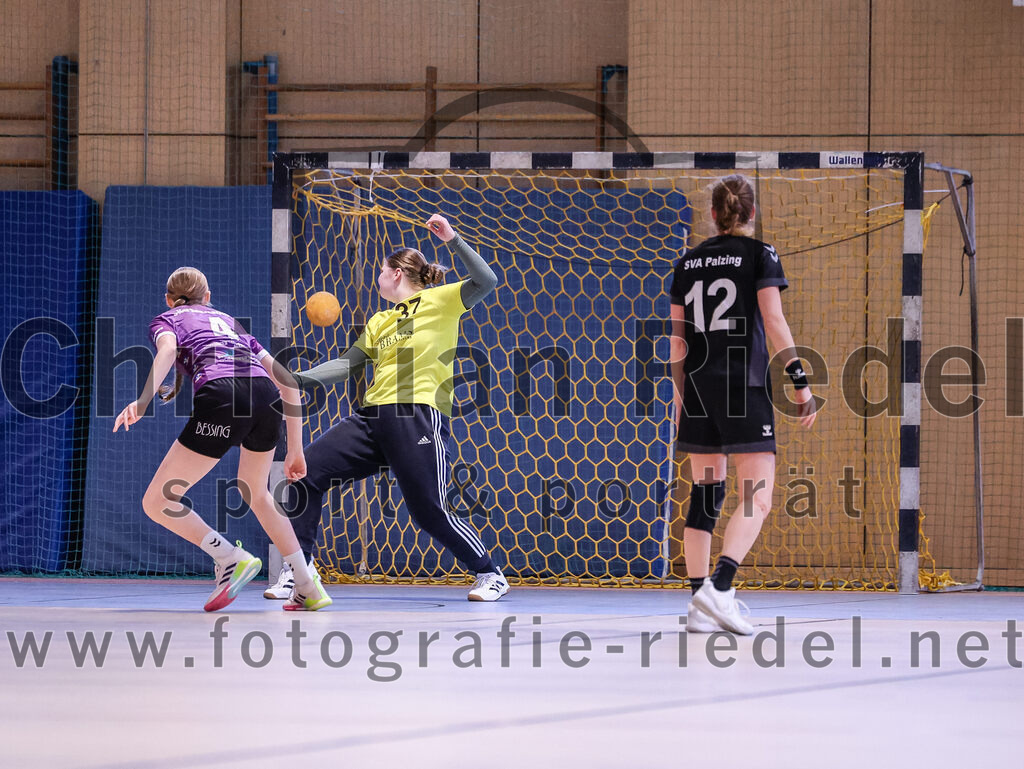 2024-12-14_087_SpVgg_Altenerding_gegen_SVA_Palzing | Erding, Deutschland, 14.12.2024:Handball, Bezirksoberliga Frauen Altbayern 2024 / 2024, 9. Spieltag, SpVgg Altenerding gegen SVA Palzing, Endergebnis: 20:30Greta Felbinger (SpVgg Altenerding, #4), Torfrau Julia Zierer (SVA Palzing, #37), Sandra Redl (SVA Palzing, #12)Foto: Christian Riedel / fotografie-riedel.net