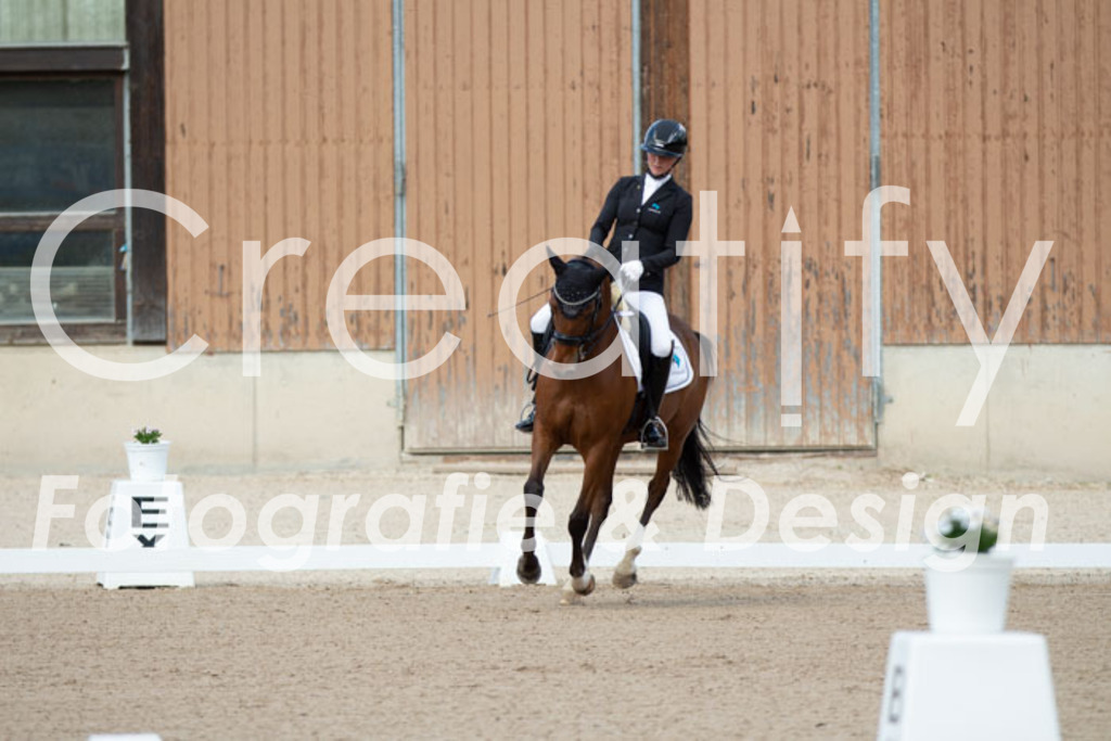 IMG_5601 | Creatify Fotografie